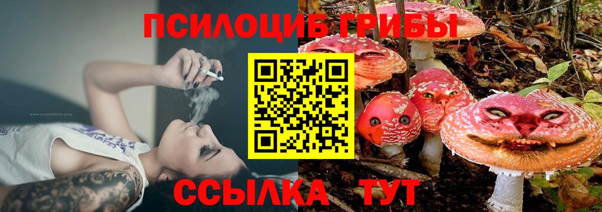 Галлюциногенные грибы MAGIC MUSHROOMS Воркута
