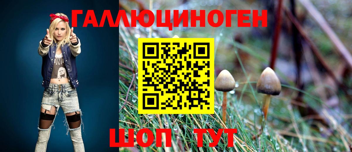 Галлюциногенные грибы Magic Shrooms  Вход с VPN  магазин    Воркута 